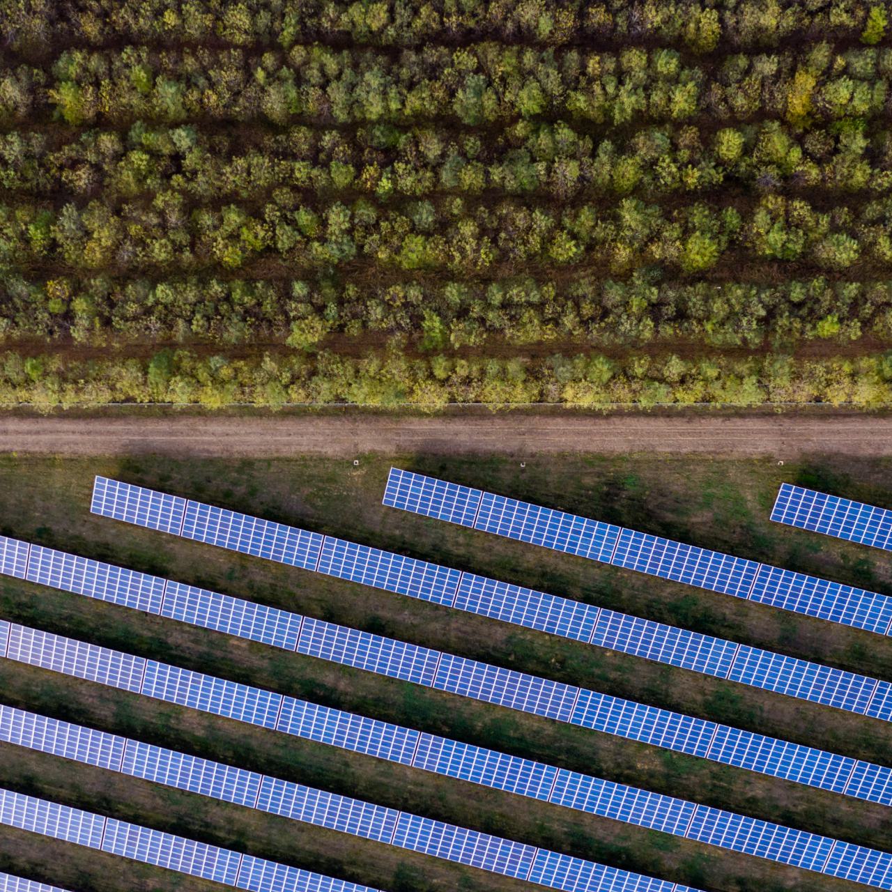Solar farm greenspace